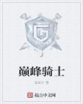巅峰骑士团boss攻略