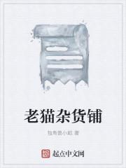 老猫杂记