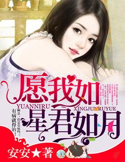愿我如星君如月夜夜流光相皎洁翻译