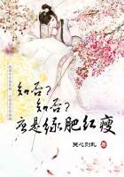 知否知否应是绿肥红瘦小秦氏