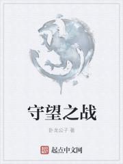 守望之战阵容