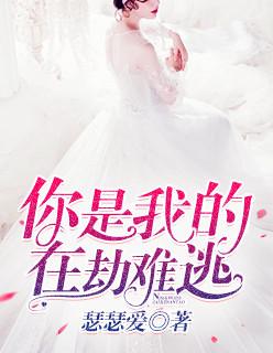 你是我的在劫难逃第80集