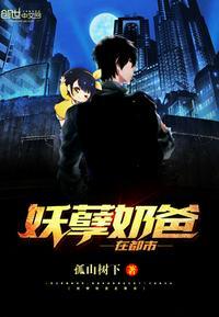 妖孽奶爸在都市二斗
