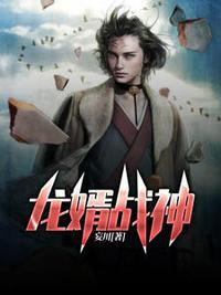 龙婿战神萧