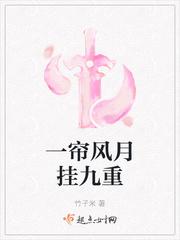 一帘风月九重天讲的什么