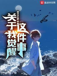 关于我是领主这件事
