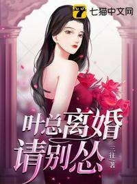 离婚吧总裁请自重叶雨婷