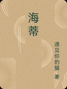 海蒂诗属于什么档次