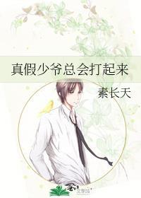 真假少爷总会打起来百度