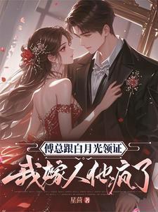 傅先生的白月光大锦鲤