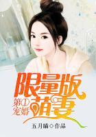 爱上限量版萌妻