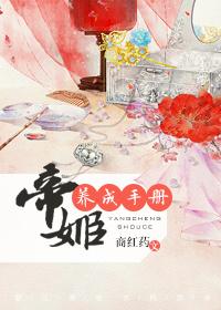 帝姬晋级指南h
